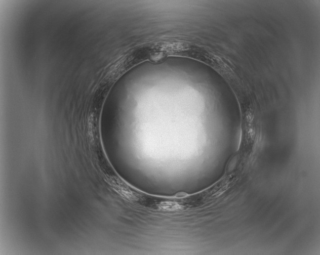 X0000052580519200507081731