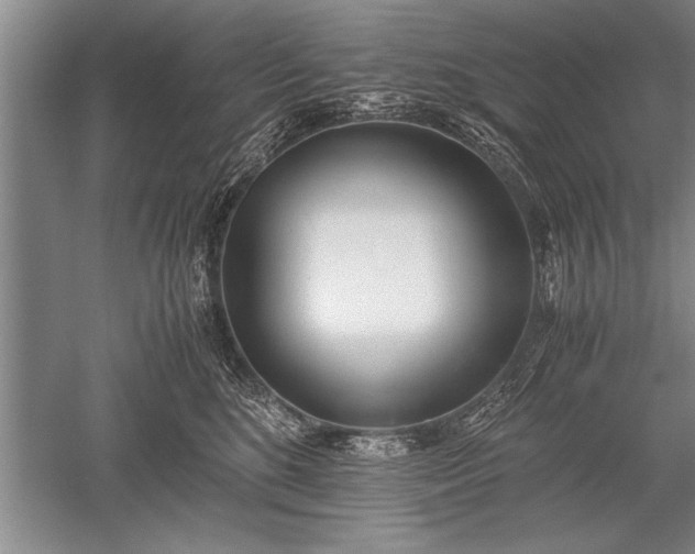 X0000052580520200507081731
