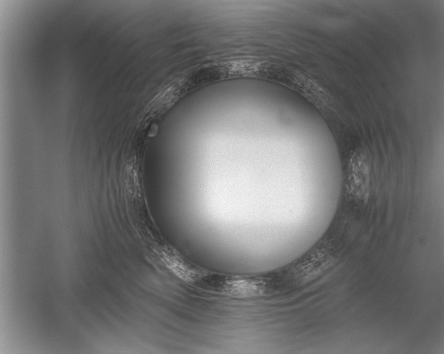 X0000052580522200507081731