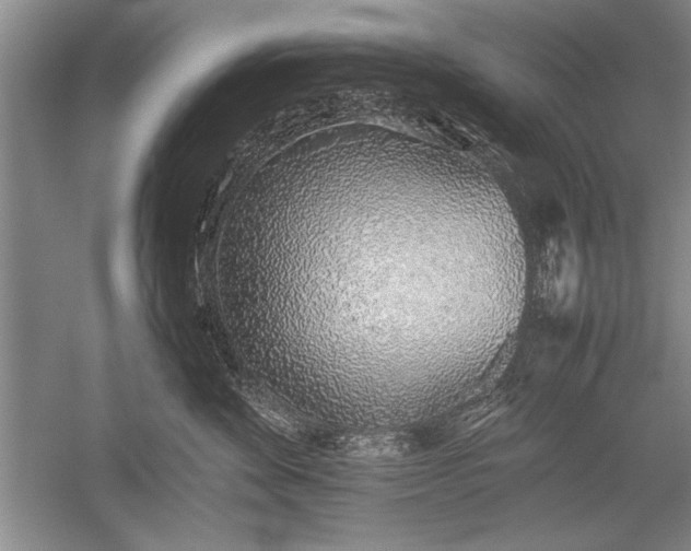 X0000052580524200507081731