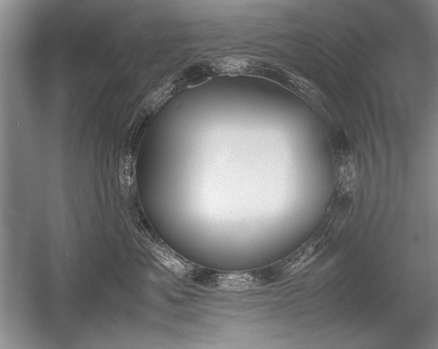 X0000052580525200507081731