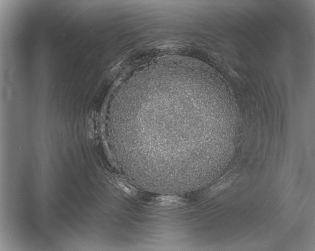 X0000052580528200507081731