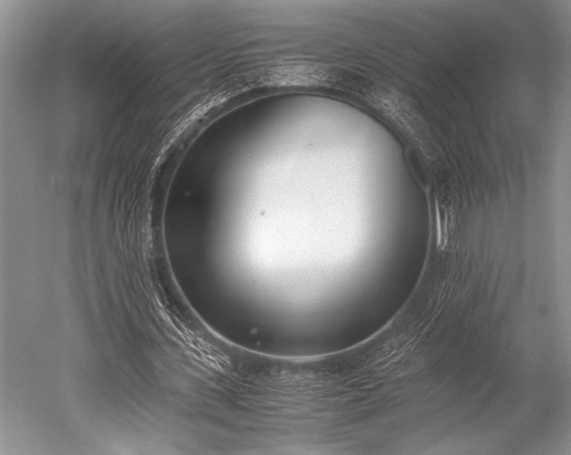 X0000052580531200507081730