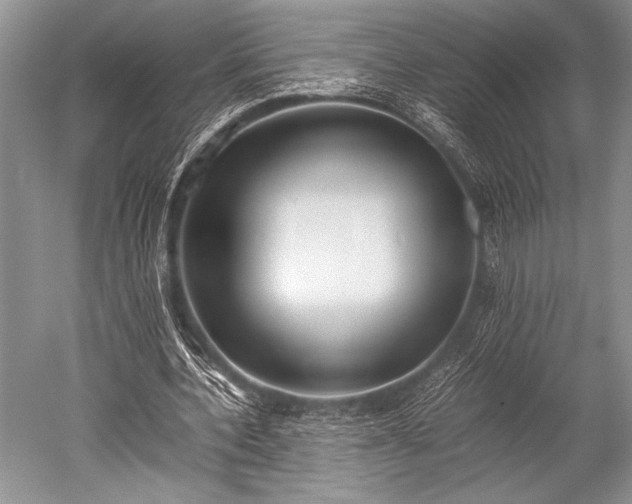 X0000052580532200507081730