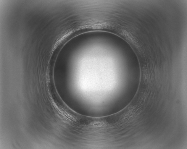 X0000052580536200507081730