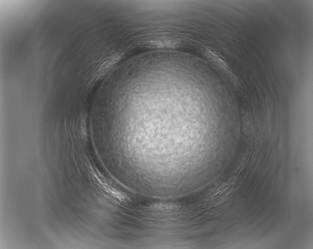 X0000052580537200507081730