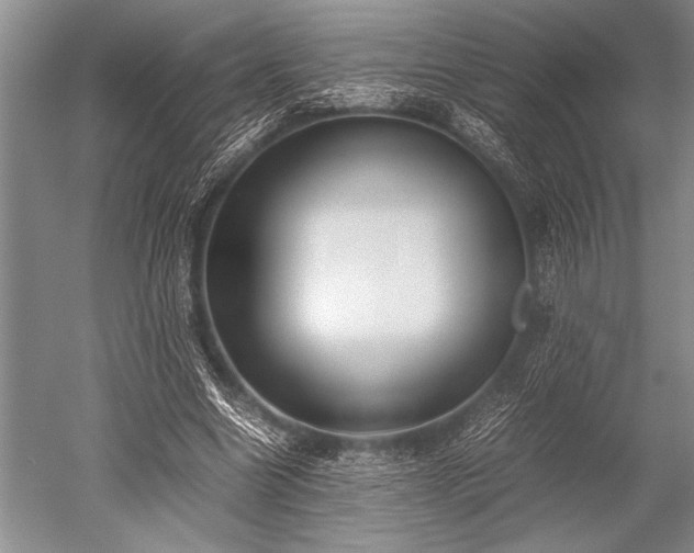 X0000052580538200507081730