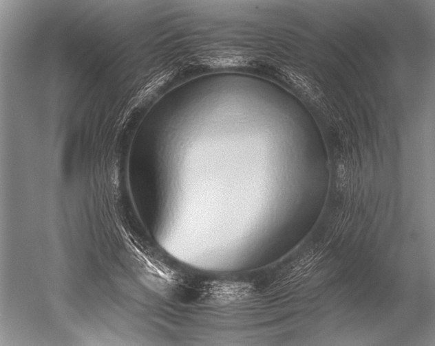 X0000052580539200507081730