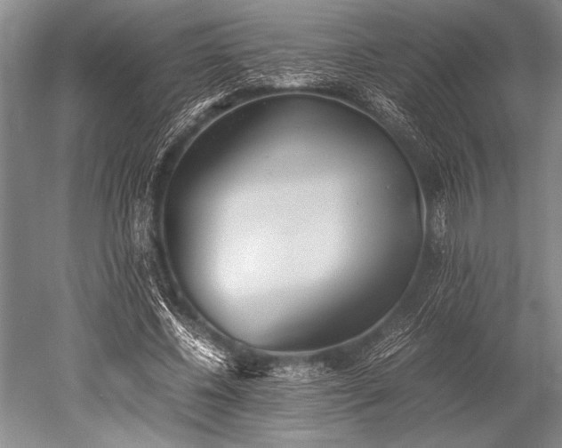 X0000052580540200507081730
