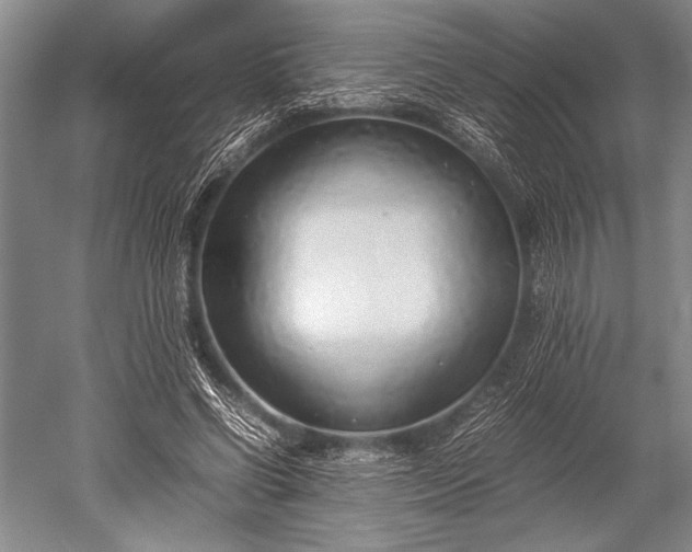 X0000052580542200507081730