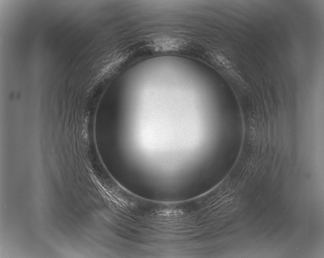 X0000052580543200507081730