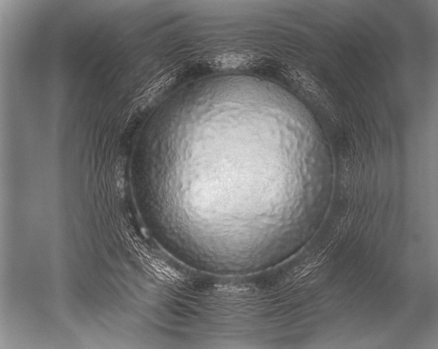 X0000052580545200507081730