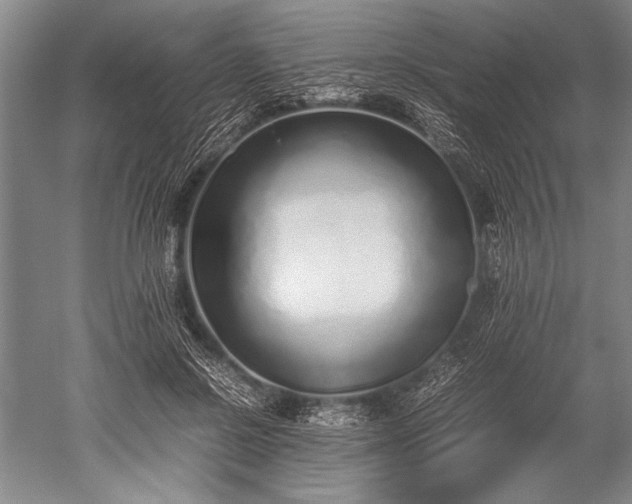 X0000052580550200507081731
