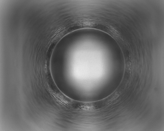 X0000052580552200507081731