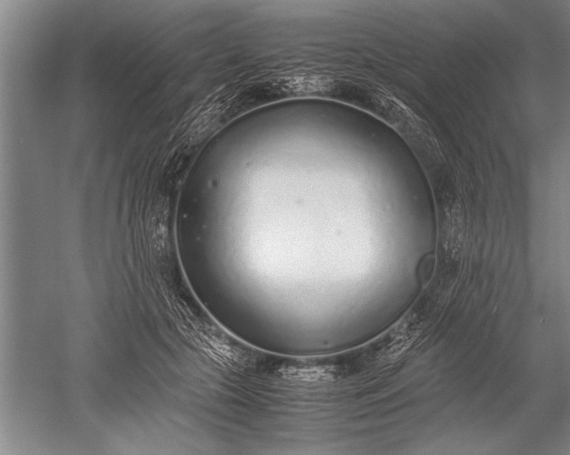 X0000052580553200507081731