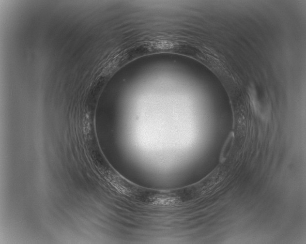X0000052580555200507081731