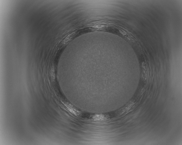 X0000052580562200507081731