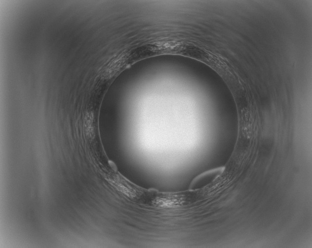 X0000052580563200507081731