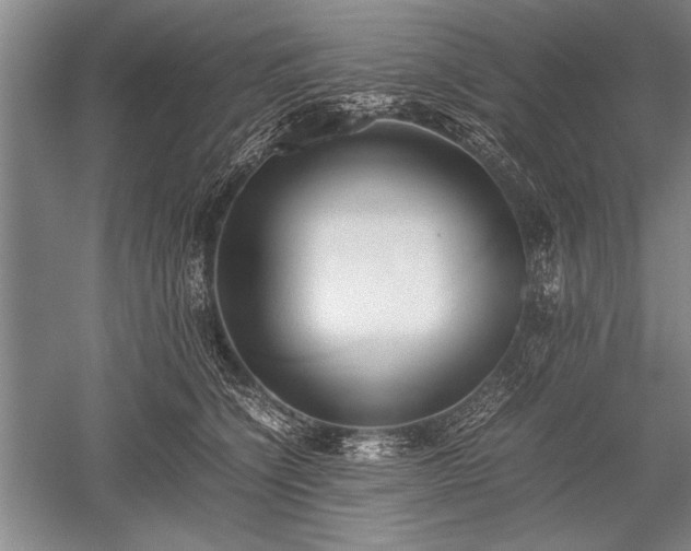 X0000052580564200507081731