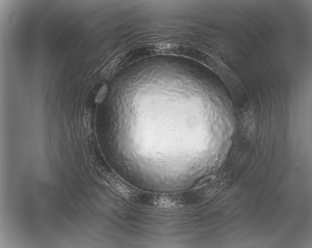 X0000052580565200507081731
