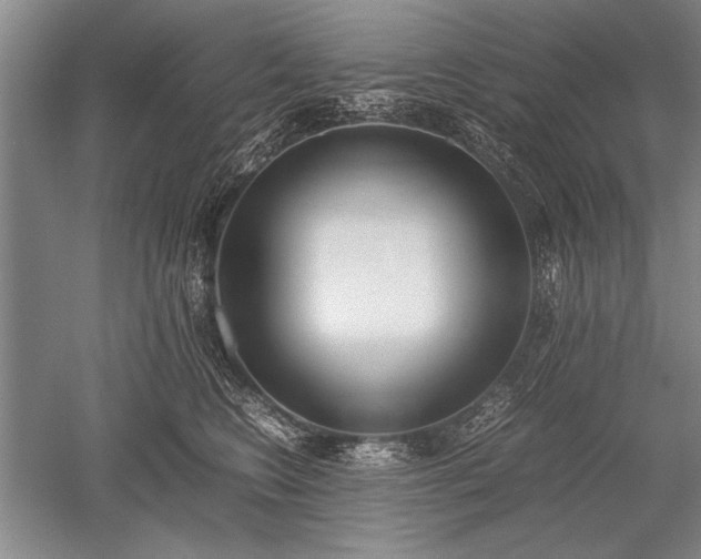 X0000052580566200507081731