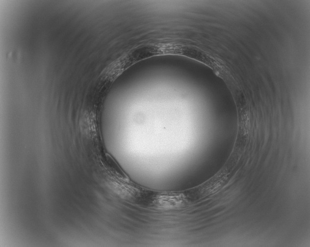 X0000052580571200507081731