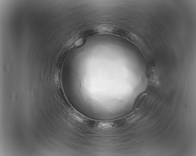X0000052580573200507081731