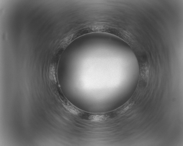X0000052580575200507081731