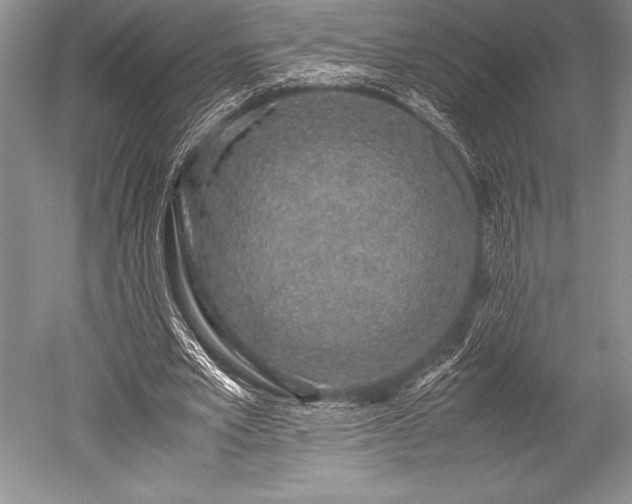 X0000052580581200507081730