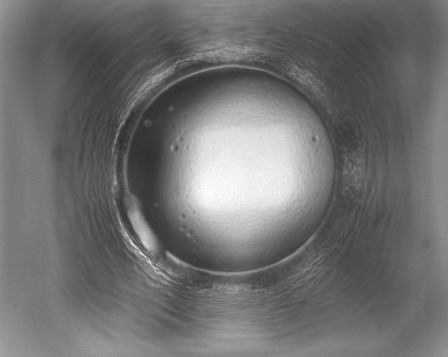 X0000052580582200507081730
