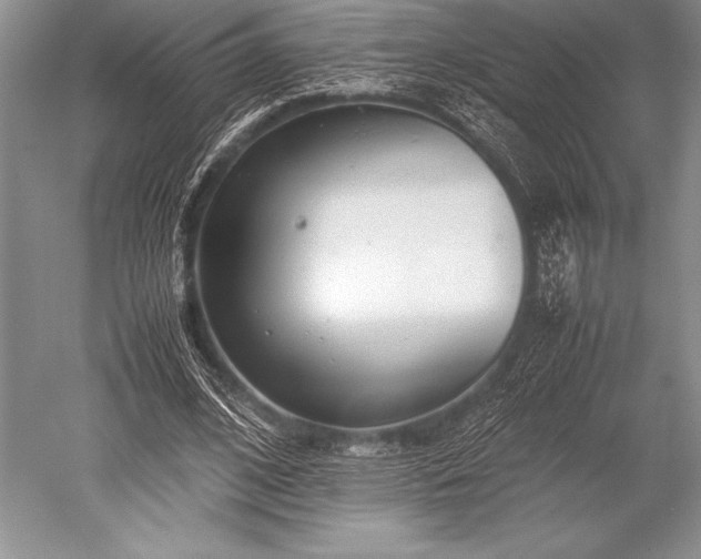 X0000052580584200507081730