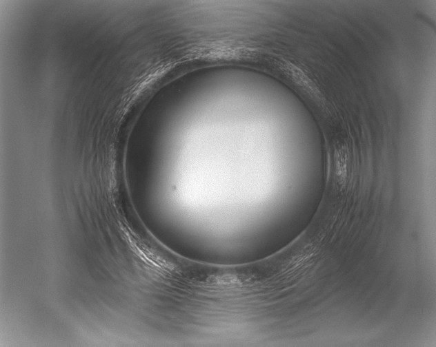 X0000052580588200507081730