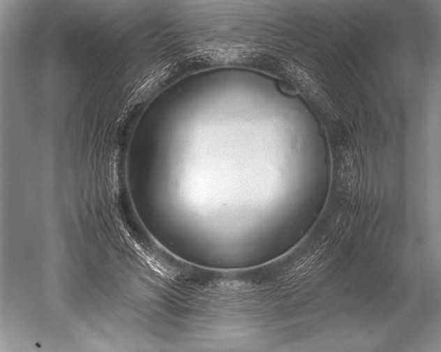 X0000052580590200507081730