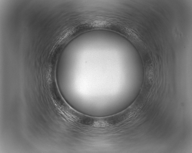 X0000052580591200507081730