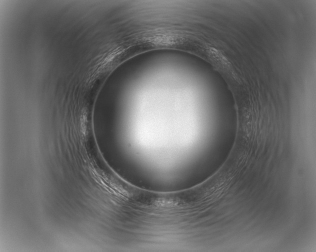 X0000052580596200507081730