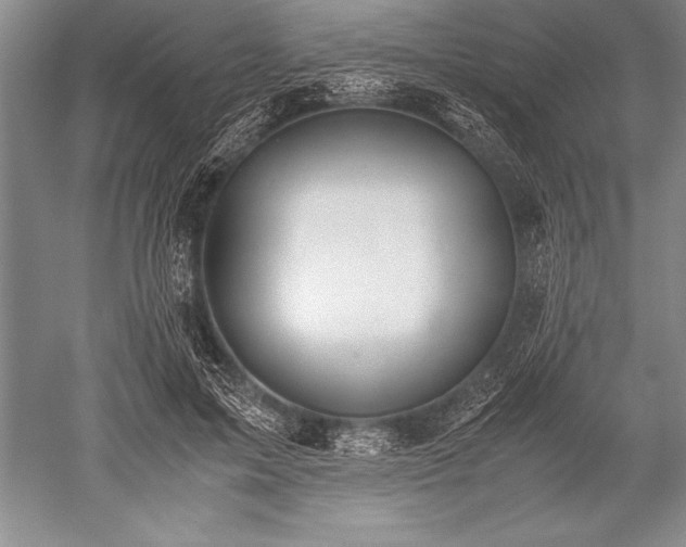 X0000052580599200507081730