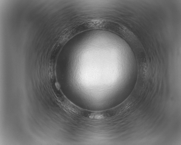 X0000052580602200507081730