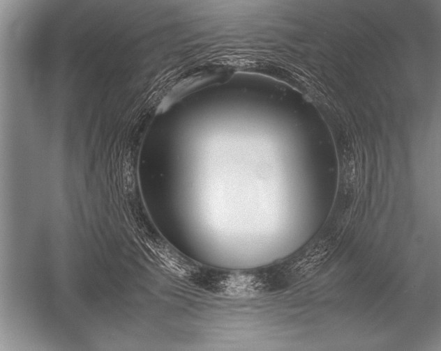 X0000052580609200507081730