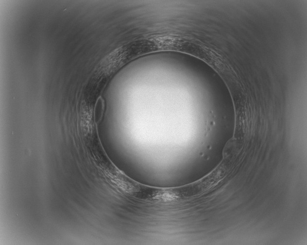 X0000052580610200507081730