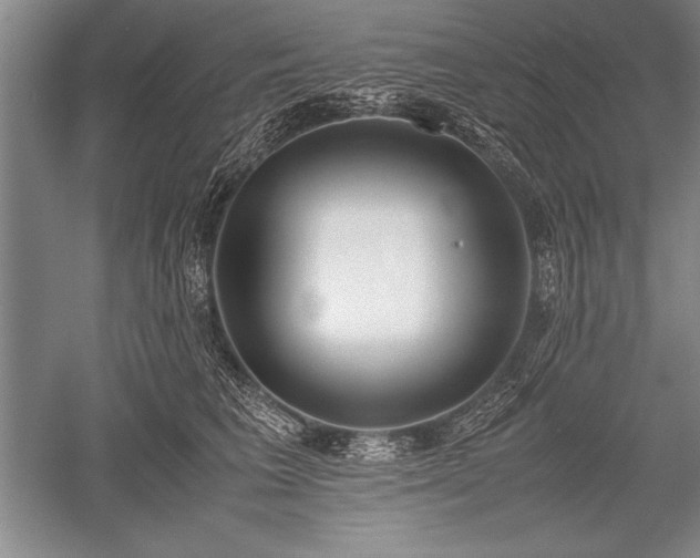 X0000052580613200507081730