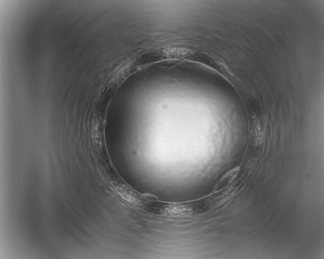 X0000052580619200507081729