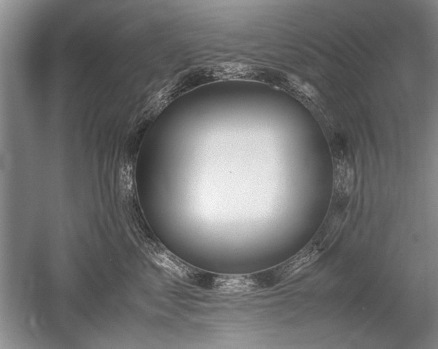 X0000052580621200507081729