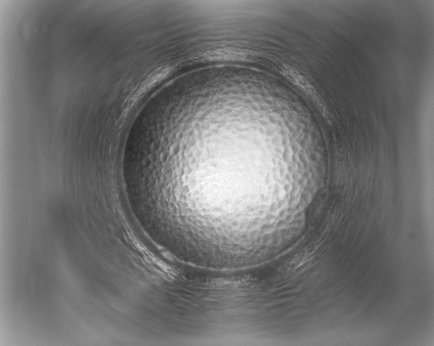 X0000052580625200507081729