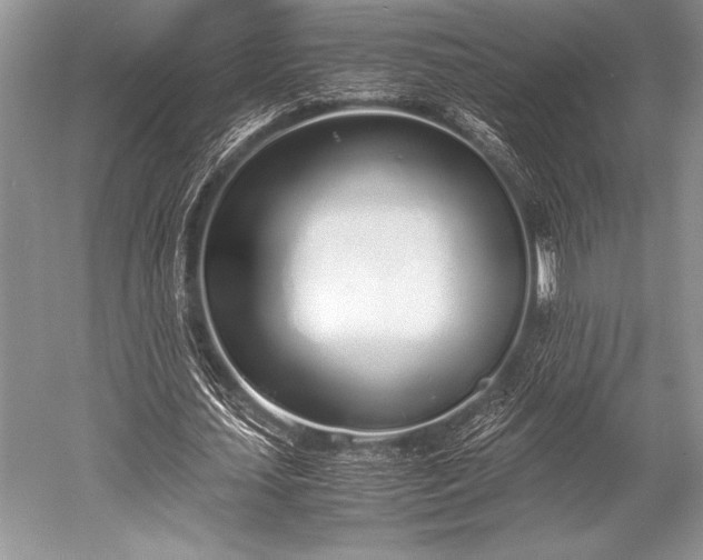 X0000052580627200507081729