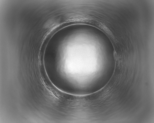 X0000052580628200507081729