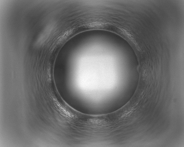 X0000052580633200507081729