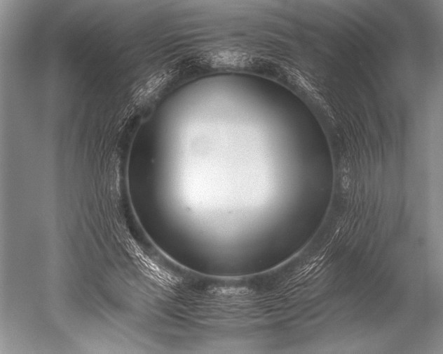 X0000052580637200507081729