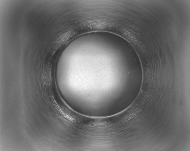 X0000052580638200507081729