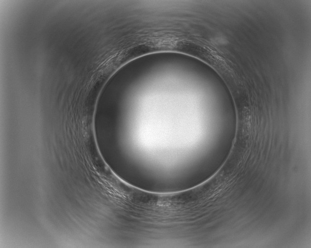 X0000052580641200507081729