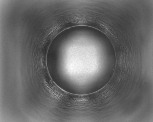 X0000052580643200507081729